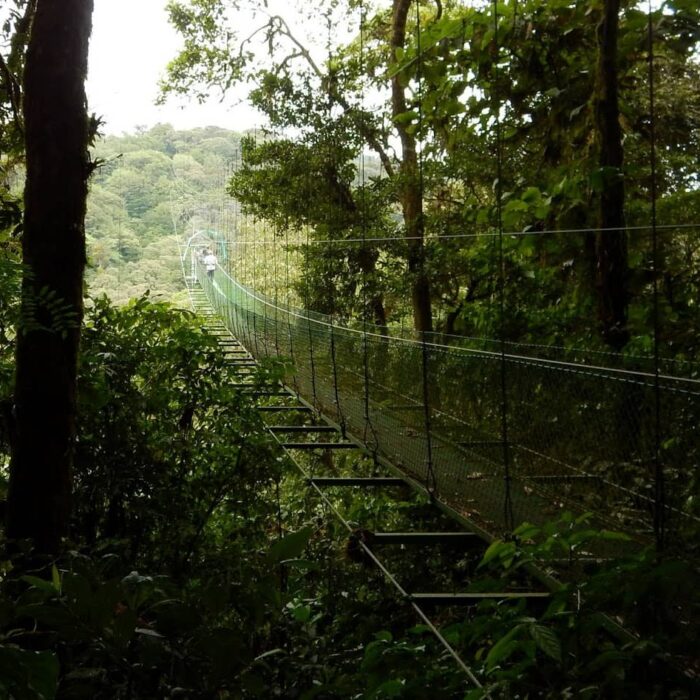 NP Monteverde 100% Aventura Canopy Lukáš Tarzan