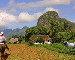 Pinar Del Rio, Kuba, archiv Enjoy Travel