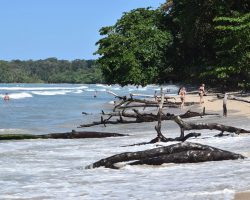 Kostarika, autor Irena Koubíková