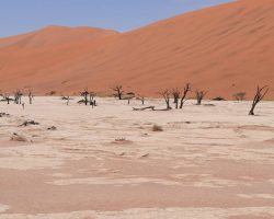 Namibie, archiv Enjoy Travel