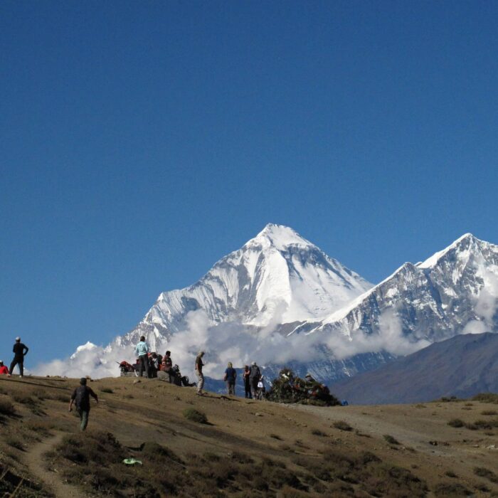 IMG 0640