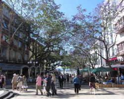 Madeira, archiv Enjoy Travel