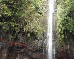 Madeira, archiv Enjoy Travel