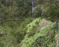 Madeira, archiv Enjoy Travel