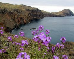 Madeira, archiv Enjoy Travel