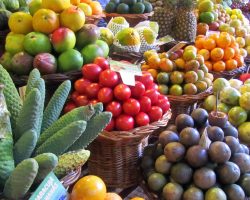 Madeira, archiv Enjoy Travel