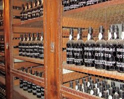 Madeira, archiv Enjoy Travel