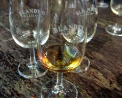 Madeira, archiv Enjoy Travel