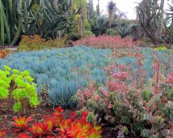 Madeira, archiv Enjoy Travel