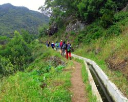 Madeira, archiv Enjoy Travel