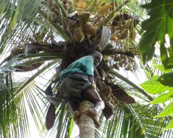 Zanzibar, archiv Enjoy Travel