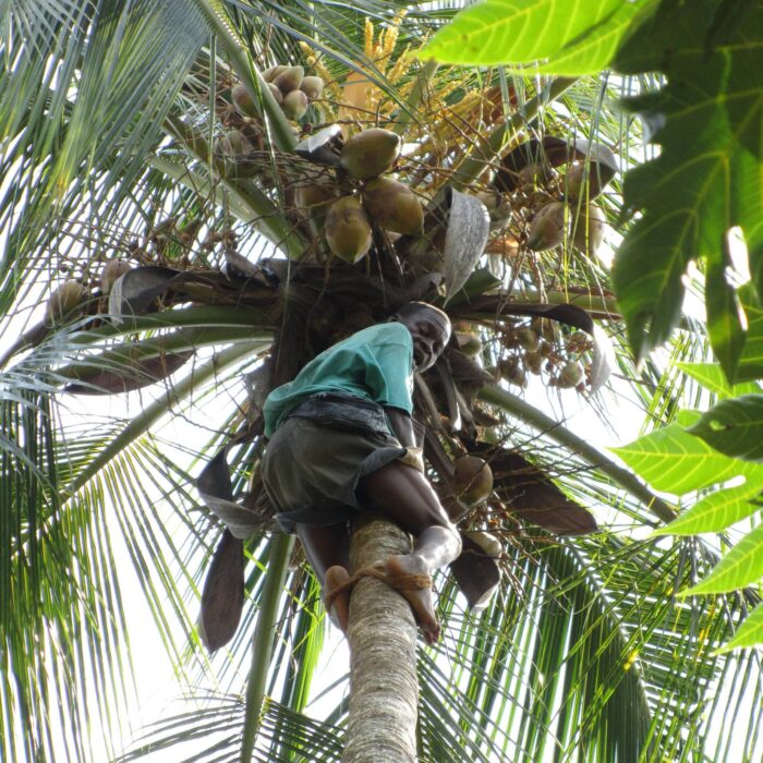 Zanzibar, archiv Enjoy Travel