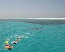 Šnorchlování, Zanzibar, archiv Enjoy Travel