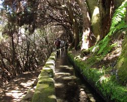 Madeira, autor Lenka Skrbková