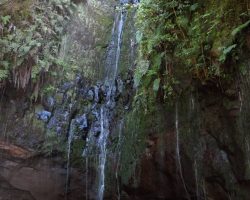 Madeira, autor Lenka Skrbková