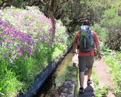 Madeira, autor Lenka Skrbková