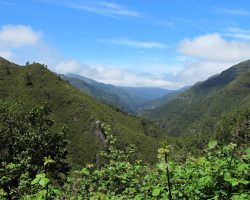 Madeira, autor Lenka Skrbková