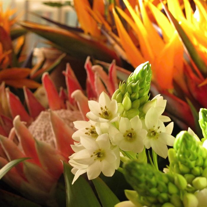 Enjoy Travel - Madeira