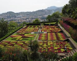 Madeira, autor Lenka Skrbková