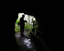 Madeira, autor Lenka Skrbková