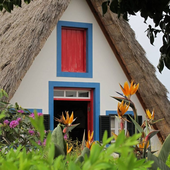 Enjoy Travel - Kvetoucí Madeira