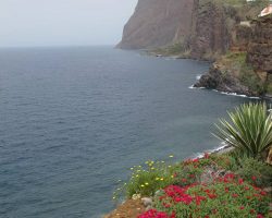 Madeira, autor Lenka Skrbková