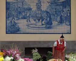 Madeira, autor Lenka Skrbková