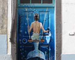 Madeira, autor Lenka Skrbková