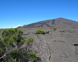 Réunion, autor Lenka Skrbková