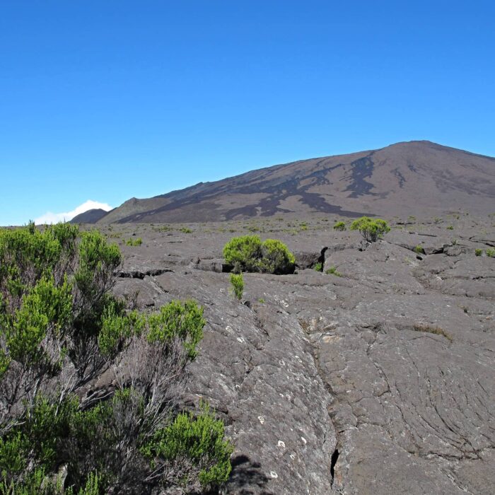 Réunion, Archiv Lenka Skrbková (13)