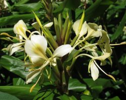 Réunion, autor Lenka Skrbková