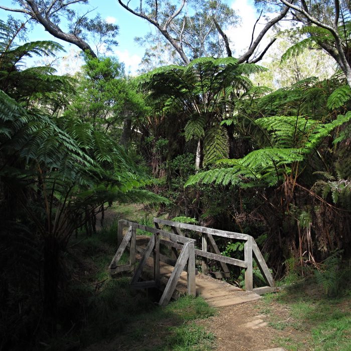 Enjoy Travel - Réunion