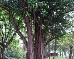 Réunion, autor Lenka Skrbková