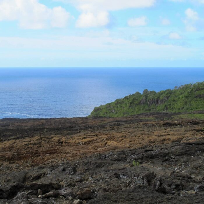 Réunion, Archiv Lenka Skrbková (4)