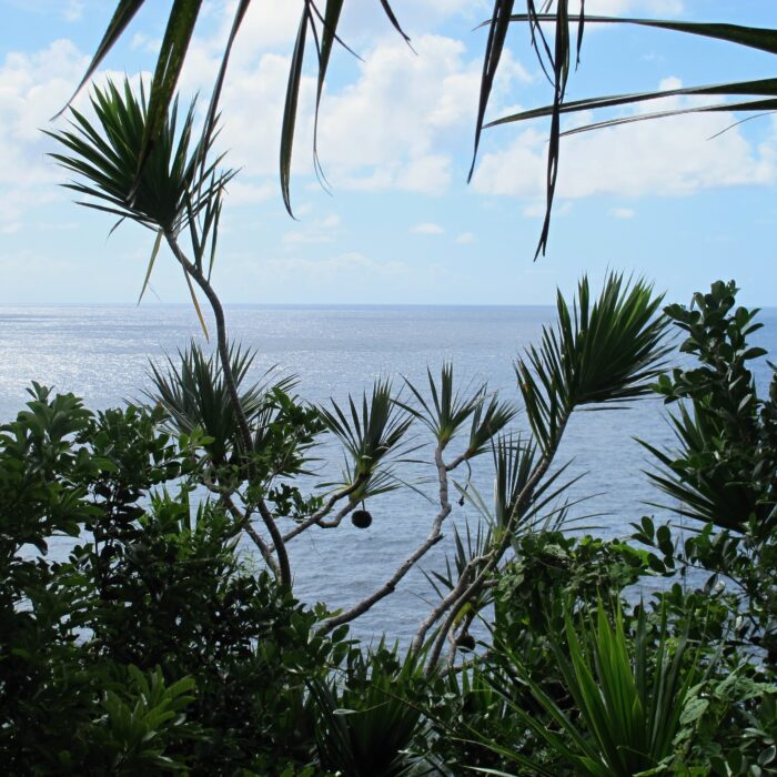 Réunion, Archiv Lenka Skrbková (5)
