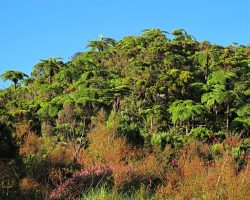 Réunion, autor Lenka Skrbková