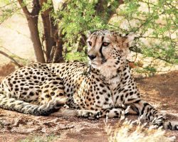 Namibie, archiv Enjoy Travel