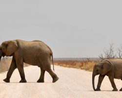 Namibie, archiv Enjoy Travel