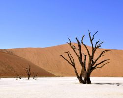 Namibie, archiv Enjoy Travel