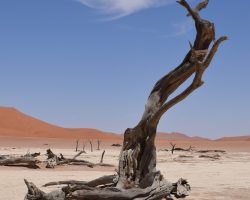 Namibie, archiv Enjoy Travel