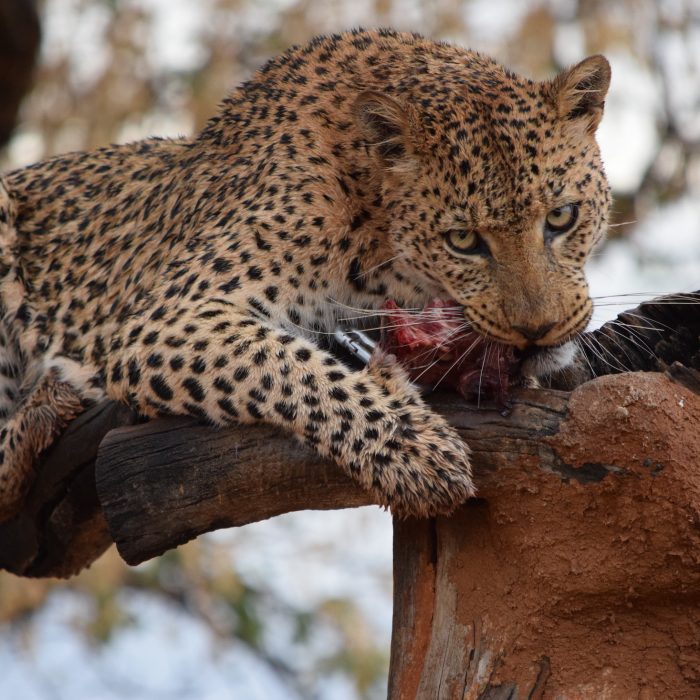 Enjoy Travel - Namibie s fotografem Petrem Slavíkem