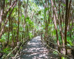 Belize, archiv CK Enjoy Travel