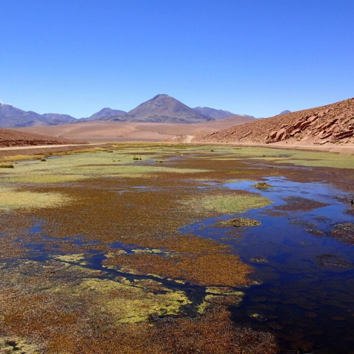Cestou Ke Gejzírům, Chile, Zb. Š.