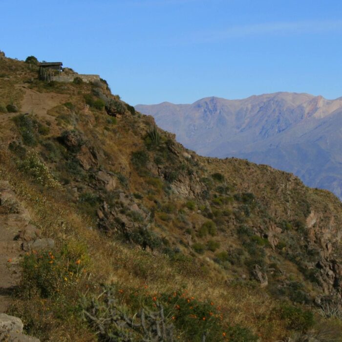 Kaňon Colca, Peru, archiv Enjoy Travel