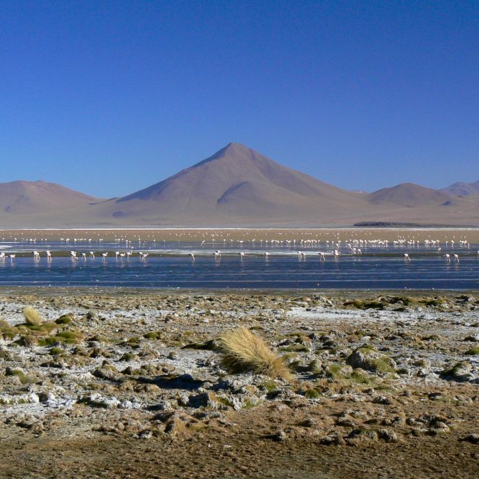 Enjoy Travel - JIŽNÍ AMERIKA PRO POKROČILÉ – CHILE, BOLÍVIE, PERU