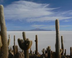 Salar de Uyuni, Bolívie, archiv Enjoy Travel