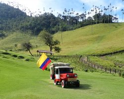 Valle De Cocora, Kolumbie, archiv Enjoy Travel