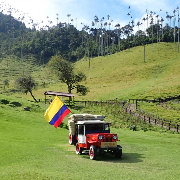 Valle De Cocora8