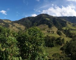 Valle de Cocora, Kolumbie, archiv Enjoy Travel