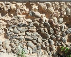 Fosílie, Kolumbie, archiv Enjoy Travel